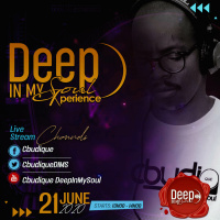 DeepInMySoul 17 (LiveStream Ed)\\ MainMixed By Cbudique