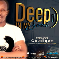 DeepInMySoul 11\\ MainMixed By Cbudique