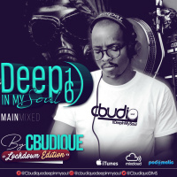 DeepInMySoul 16 (LockDown Ed)\\ MainMixed By Cbudique