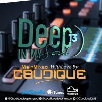 DeepInMySoul 13\\ MainMixed By Cbudique