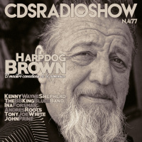 Capítulo 477 Harpdog Brown, la maestría de la armónica de blues y el swing