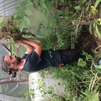 Food in the Forest with Sean Dembrosky of Edible Acres