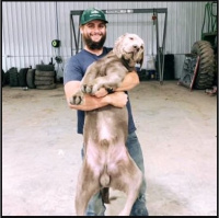 Farmarchy with the Farmarchist!