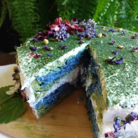 Twelve Years of Homeschool with Beth Clark