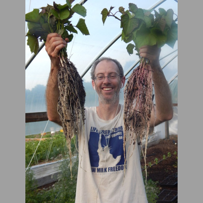 Homesteads And Homeschools