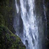 Guest Speaker - Grace Renewal: How the Heart Changes