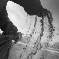 Follow Me: The Sower