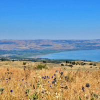 Follow Me: True Shepherd