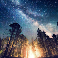 Messiah Psalms: The Priest-King