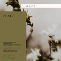 Advent: Peace