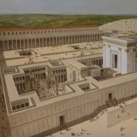 The Story amp Way Of Jesus: Son of David, Son of God