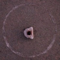 The Mission - Follow Me Series