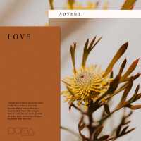 Advent: Love