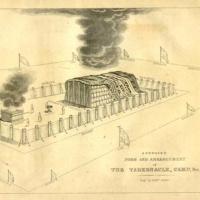 Leviticus 2012: Sweet Surrender