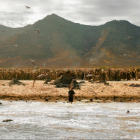 Story of God: Israel / The Kingdom Begins Again