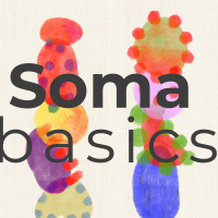 Soma Basics: Gospel-Centred