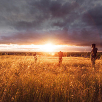 The Good News: Good News About Life