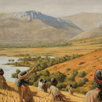 The Story amp Way Of Jesus: What God Has Joined Together