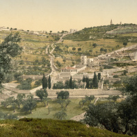 The Story amp Way Of Jesus: Garden Of Gethsemane