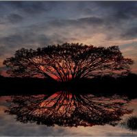 Story of God: Creation / The Kingdom Begins