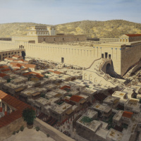 The Story amp Way Of Jesus: The Son Of David Comes