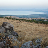 Follow Me: Walk on Water