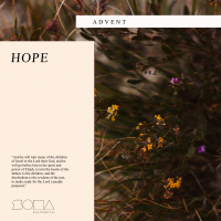 Advent: Hope
