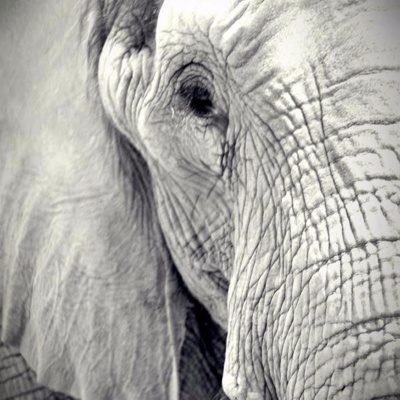 Soma Blue Mountains And Penrith