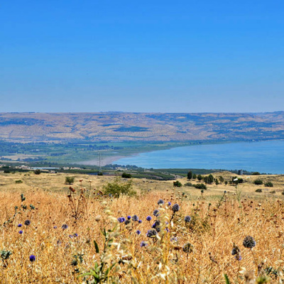 Soma Blue Mountains And Penrith