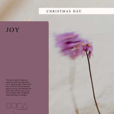 Soma Blue Mountains And Penrith