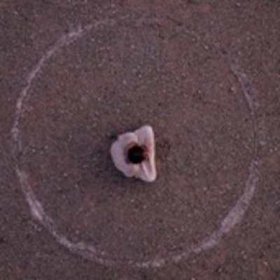 Soma Blue Mountains And Penrith