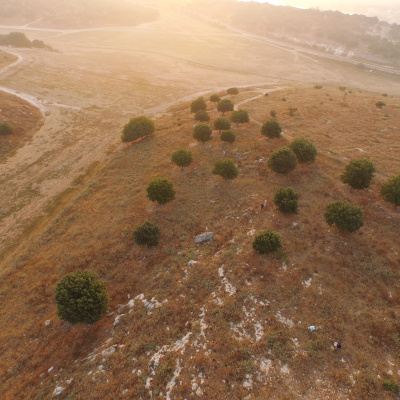 Soma Blue Mountains And Penrith