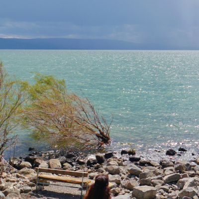 Soma Blue Mountains And Penrith