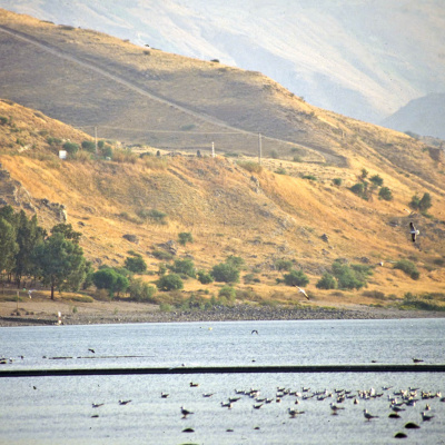 Soma Blue Mountains And Penrith