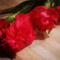 Internationaler Frauentag - was bleibt ist Fremdschämen oder doch das Aufwachen der Ignoranten 