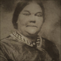 Big Alice  the Battle of the Bordellos