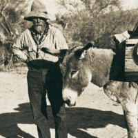 The Lost Dutchmans Mine