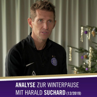 Harald Suchard - der Herbst der Young Violets in der Analyse