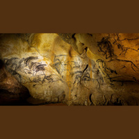 När vargen blev hund