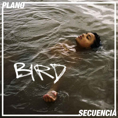 Plano Secuencia
