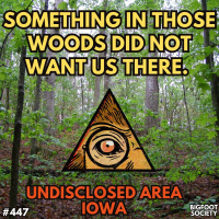 Something in the Woods Did not Want Us There.