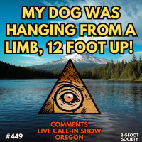 We Were Face to Face and my Dog Paid the Price