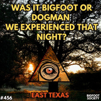 When the Night Howled Back: My Experience with the Unknown in East Texas