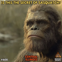 Higher Frequency Sasquatch | Central Illinois