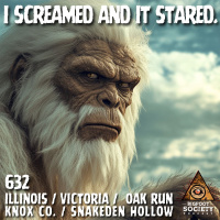 I Screamed and It Stared! | Illinois
