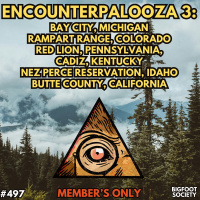 ENCOUNTERPALOOZA 3 (MEMBERS ONLY)