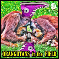 The Friendship Episode