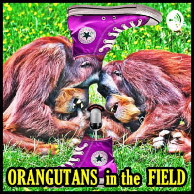 Meet Me In The Field