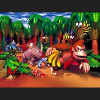 Episode 10: Donkey Kong Country