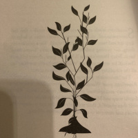 Late night poetry...Charlotte Mew amp Wendell Berry